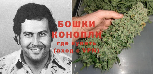 гидра Пионерский