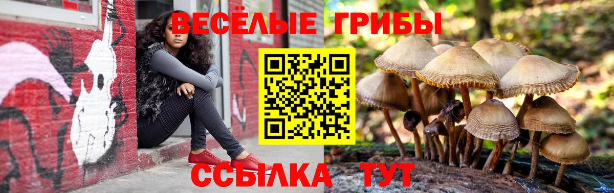 Рассказово  Галлюциногенные грибы Magic Shrooms  Вход с VPN 